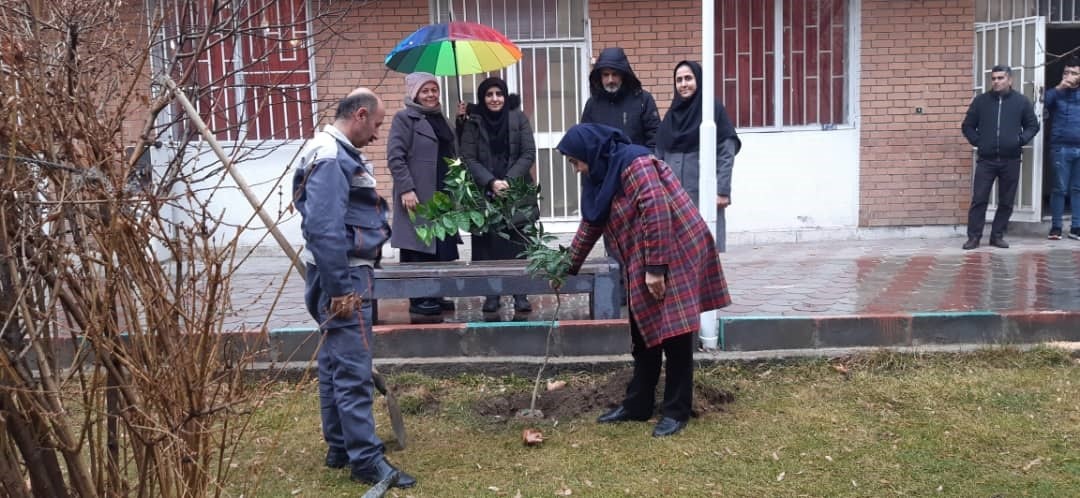 کاشت نهال پرتقال در حیاط دانشکده هنر